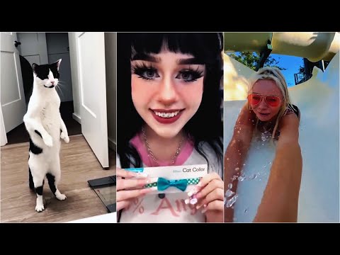 UNUSUAL MEMES COMPILATION V15