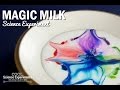 Magic Milk Experiment Questions