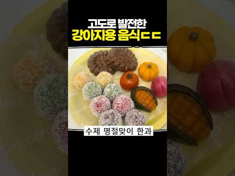 고도로 발전한 강아지용 음식 ㄷㄷ