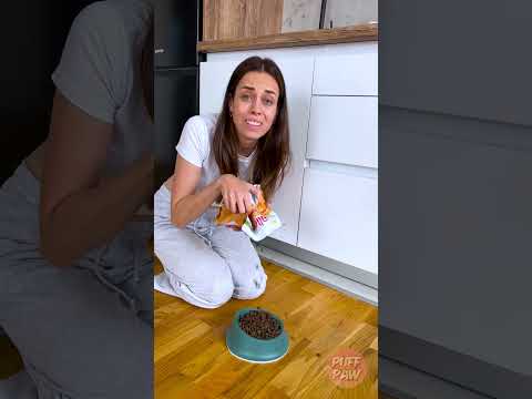 القطة تعرف كيف تتحكم في صاحبها 😎