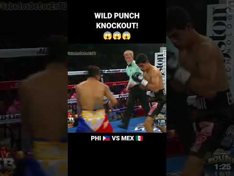 Wild Punch Knockout | Eden Sonsona vs Adrian Estrella #pinoyboxing #dustsports #boxing