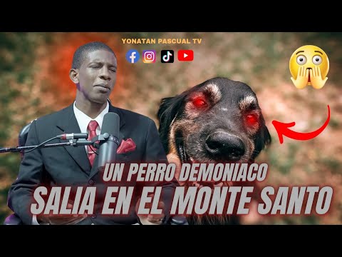 UN PERRO DEMONIACO NOS SALIA EEN EL MONTE SANTO HAY COSAS RARAS EN ALGUNOS LUGARES - ANGEL RAMIREZ