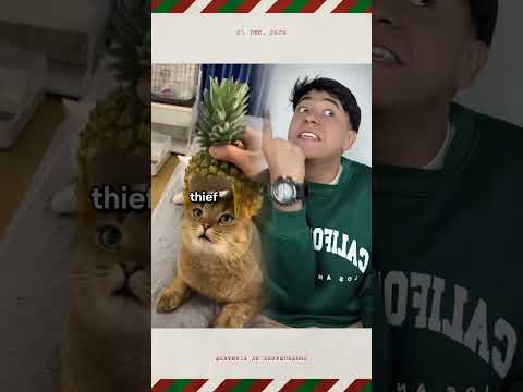 #funny #funnyvideos #fyp #pov #foryoupage #fypシ #foryou#ytb