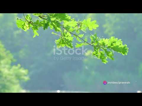 The Power of Now" by Eckhart Tolle with Self Betterment. #powerofnow #selfbetterment