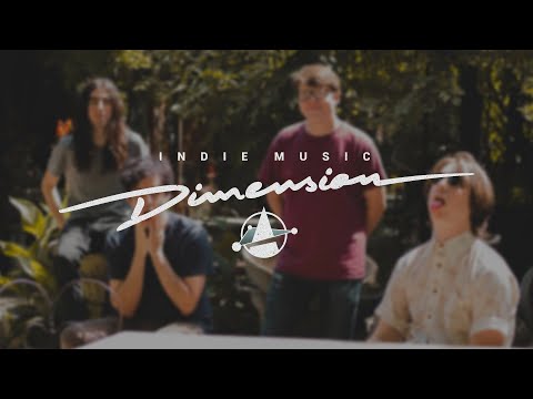 Phantom Limb - Dumbo Returns | IMD