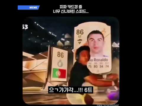 너무 신나버린 스피드...