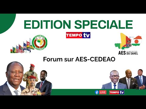 AES-CEDEAO: comment sauver le continent à partir de l’Afrique de l’Ouest