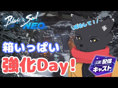 育ってくれ!【ブレイドアンドソウルNEO】