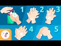 Handwashing Steps and Techniques