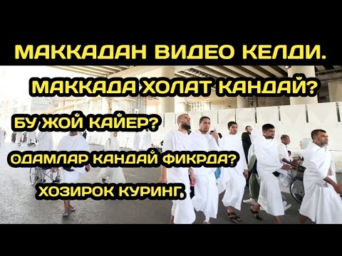 ХУШХАБАР УМРА НАРХЛАРИ УЗГАРДИ НОЯБРЯ ДЕКАБР ЯНВАР ОЙЛАРИ УЧУН НАРХЛАР 2024-2025