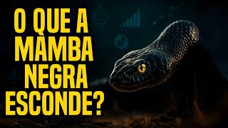 Mamba Negra: O Mistério que os Cientistas Não Explicam