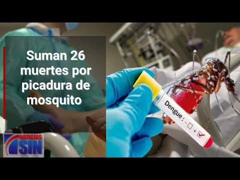 #EmisiónEstelarSIN: Dengue, domésticas y COE