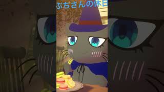 2023年11月15日