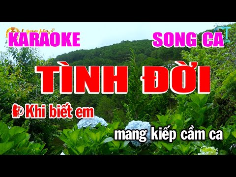 Tình Đời Song Ca Karaoke Nhạc Sống Beat Chuẩn | Làng Hoa Karaoke