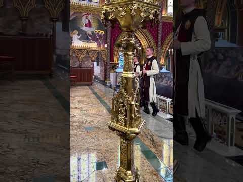 Santa Missa I Basílica Nossa Senhora do Rosário