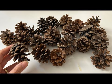 Look What I Made With Pine Cones!