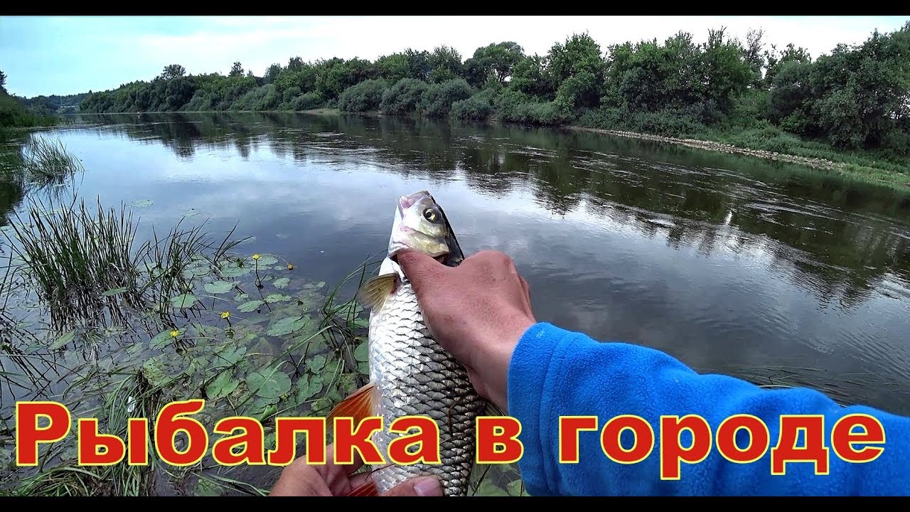 Мини рыбалка в городе. Даже рыбу поймал)
