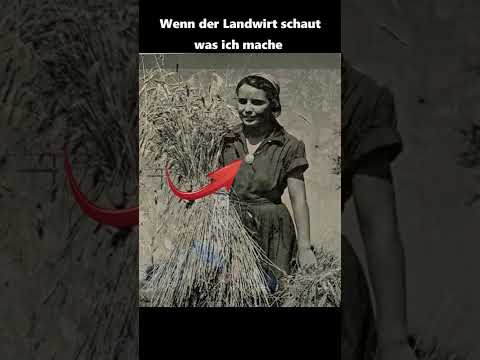 #shorts - Frauen trugen es im Krieg an Ihrer Kleidung