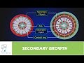 Plant Growth and Structure Concepts