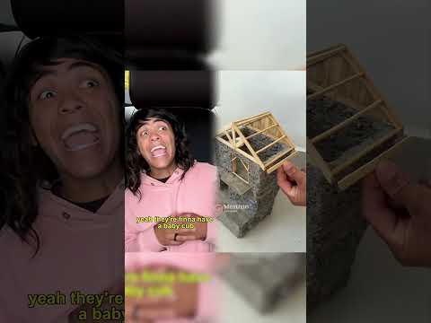 Innocent little brother exposes siblings…😭💀 #comedy ￼