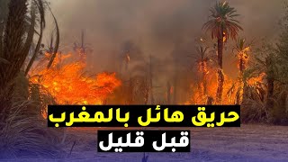 بالفيديو.. حريق مهول في واحة أفلاندرا بإقليم زاكورة المغربية قبل قليل