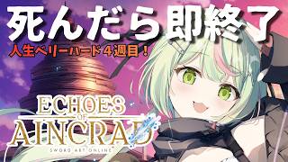 【Echoes of Aincrad】デスゲーム＆ベリーハードモードここからの物語は未知だ！油断するなよ！パート4　ネタバレ注意【日ノ隈らん