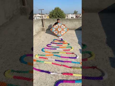 World Longest Tail Of Kite #shorts