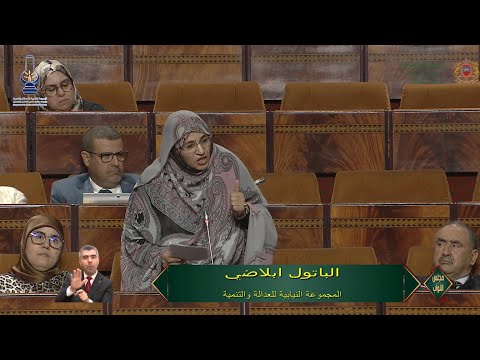 ابلاضي والفتحاوي حول العقوبات البديلة على مرتكبي الجنح البسيطة السالبة الحرية