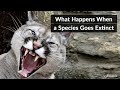 Ecosystem Disruption and Species Impact
