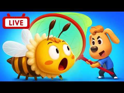 🔴【LIVE】昆蟲博物館 +更多 | 照顧生病的警長 | Kids Cartoon | 熱門動畫合集 | 安全警長啦咘啦哆 Sheriff Labrador | BabyBus 寶寶巴士