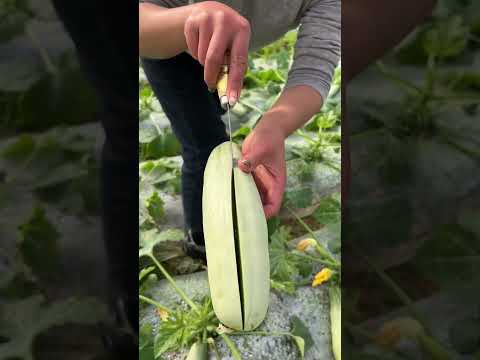 Beautiful Nature - Inspur Fresh Fruit wonderful video of Industry #8484