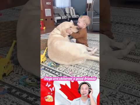 Dogs are children’s good friends🥰❤️😘#Shorts #baby #pet #love #cute #bestfriend #dog #funny