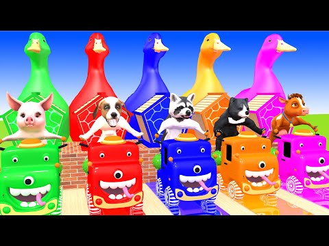 5 Giant Duck & Wild Animals Cage Game Cow Gorilla Rhinoceros Elephant Sheep Crossing Fountain