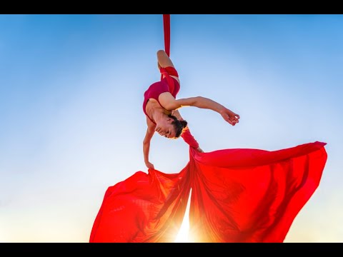 Denise Aerialist