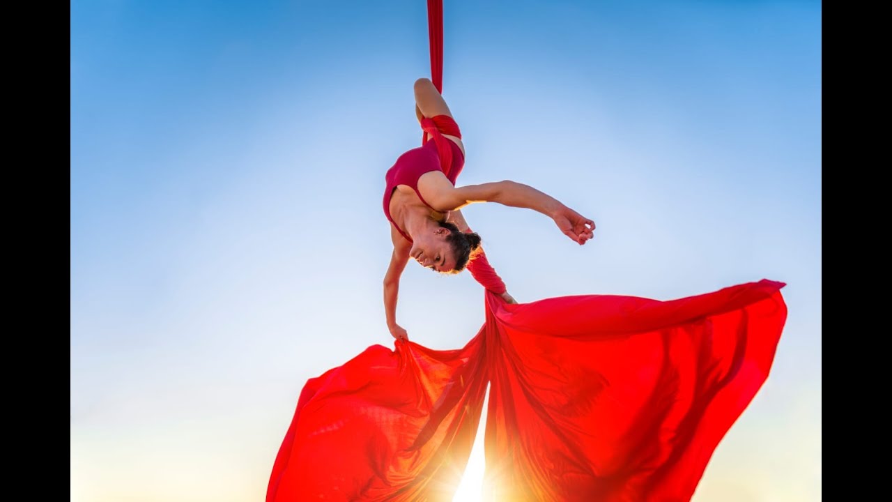 Denise Aerialist