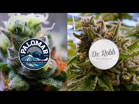 Hybrid Farms: Dr. Robb Farms and Palomar Craft Cannabis (Canna Cribs)