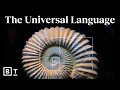 Mathematics and Its Universal Significance