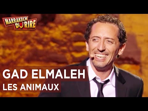 Gad Elmaleh - Les animaux - Marrakech du rire 2011