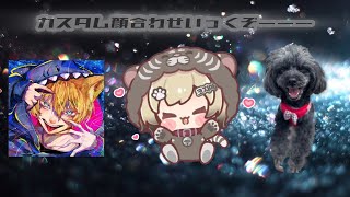 カスタム顔合わせ