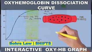 Oxygen-Hemoglobin Dissociation Curve