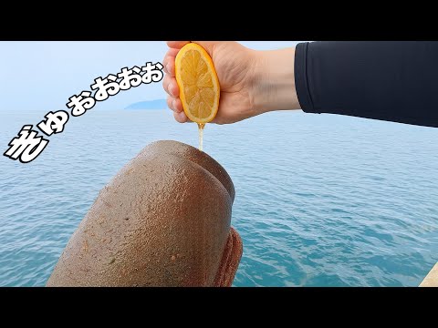 タコツボにレモン汁をかけたら・・・!!?