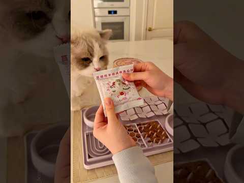 It’s enrichment day for my cat 😚😚 #cat #catfood #catfeeding #ragdollcat #catenrichment #asmr