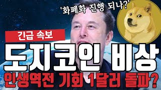 도지코인 비상 1달러 돌파 예측?