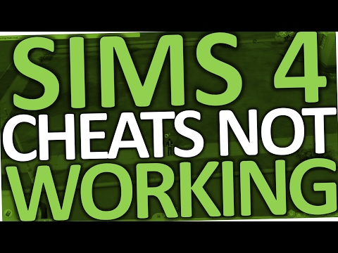 sims cheats not working