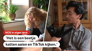 Kattenoppas steeds populairder: 'Iedere ochtend van adres naar adres'