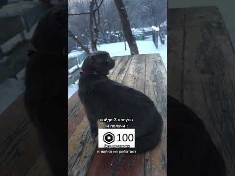 #топ #юмор #кот #мем #врек #снег #shorts