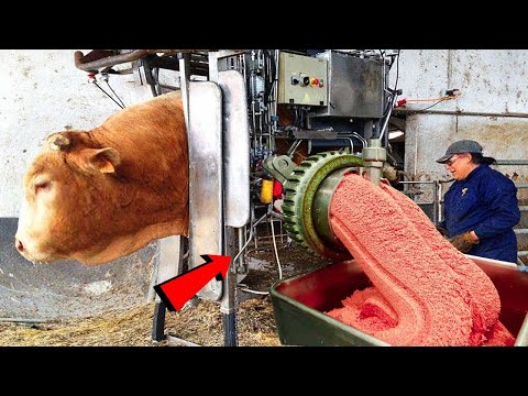 ✅ फैक्ट्री में बनने वाली इन चीजों के बारेमे जानकर आप भी रह जाओगे दंग | Dry Fruits Factory Production