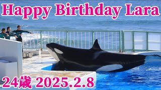24歳おめでとう!! Happy Birthday Lara!! 鴨川シーワールド シャチ kamogawaseaworld orca killerwhale