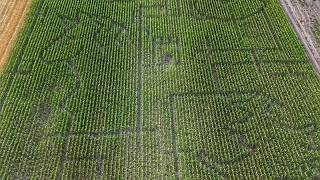 YouTube video thumbnail: Hungary Opens Fairy Tale Themed 4.5-Hectare Corn Maze for Visitors to Explore