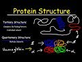 Understanding Protein Structure